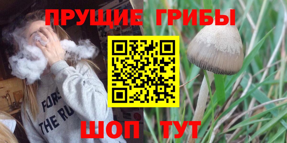 Псилоцибиновые грибы MAGIC MUSHROOMS  Галлюциногенные грибы мицелий  Вход с VPN  Севастополь 